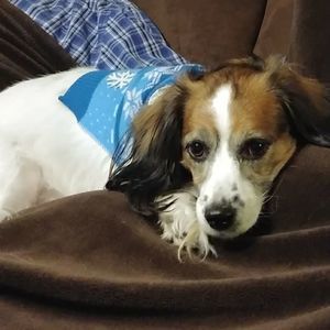 Meet your Posher, Lynn